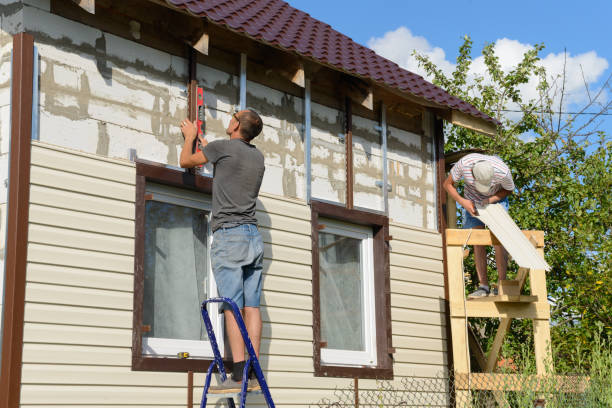 Best Stucco Siding  in Afton, WY