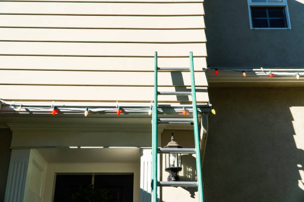 Best Steel Siding Installation  in Afton, WY